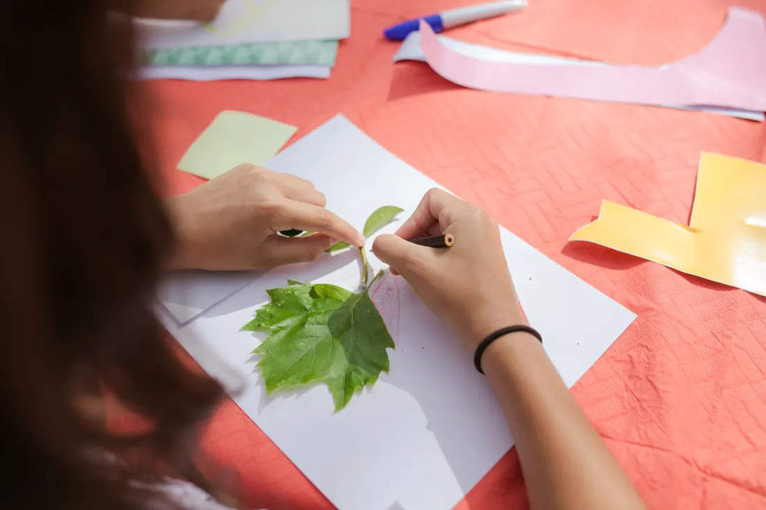 A child drawing beside green leaves on a sheet of paper
