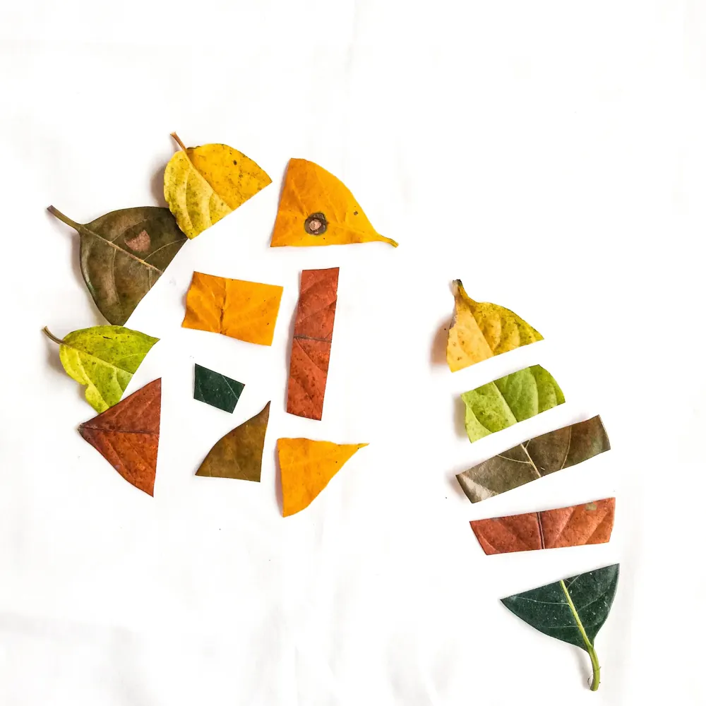 Colorful pieces of autumn leaves arranged into geometric shapes on white paper