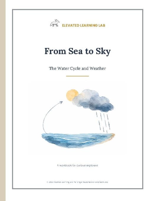 Water Cycle and Weather workbook cover